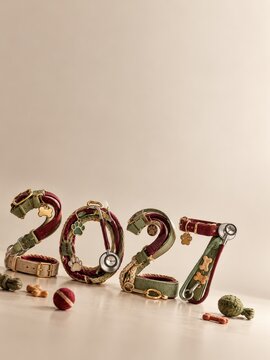 2027 made of pet collars, leashes and accessories, New Year pet care concept with copy space
