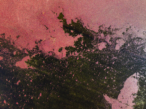 Aerial view of vibrant red floating cranberries in a flooded bog with dark green vegetation patterns at Bensons Pond Cranberries and Barn in Middleborough, Massachusetts, United States.
