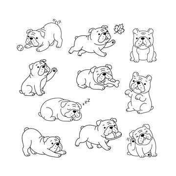Bulldog puppy cartoon vector line art clipart set. Kawaii dog character sticker tattoo outline design. Pet care canine veterinary coloring book print.