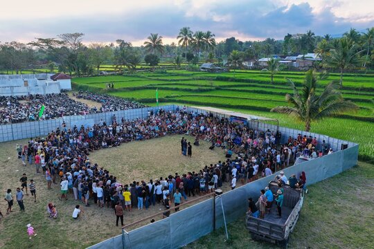 Aerial view of a large crowd gathered in a fenced-off area surrounded by lush green rice paddies in Tetebatu, Sikur, West Nusa Tenggara, Indonesia.