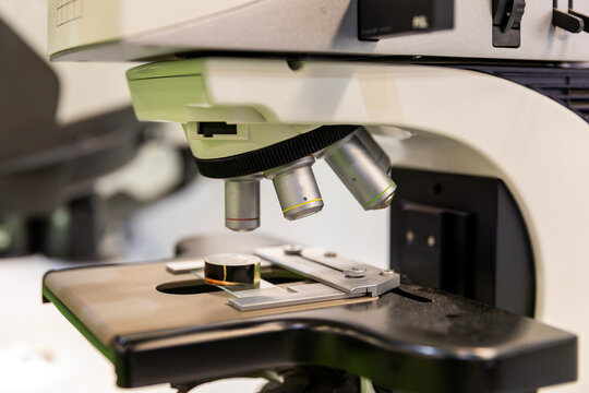 Microscope