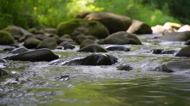 Forest stream flowing around mossy rocks in a peaceful woodland setting. Nature documentaries, environmental education, and wellness programming.