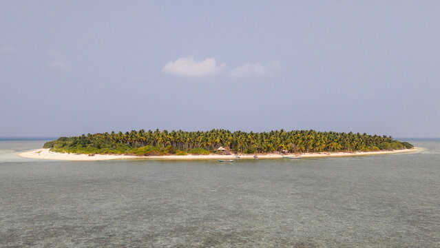 Aerial view of Cowo-Cowo Island featuring a dense palm tree forest, white sand beach, and clear shallow waters in Wakatobi, Southeast Sulawesi, Indonesia.
