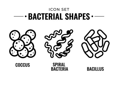 Bacterial Shapes Line Icon Set of Coccus Spiral and Bacillus