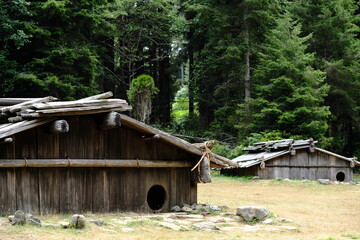 Traditional Plank Houses in a Clearing © CaptureQueen