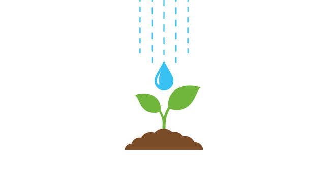 Young green plant seedling growing in brown soil being watered by blue drops, symbolizing growth, nature, life, and development.