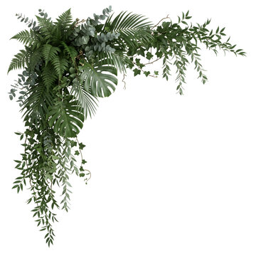 Tropical green leaves and hanging plants corner border is isolated on a transparent background PNG