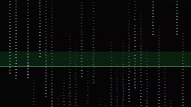 Matrix Style Code Rain Digital Background Animation 4K
