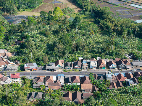 Drone view over Pronojiwo village, showing tropical homes, dense vegetation, cultivated fields, roadside traffic, and agricultural patterns.