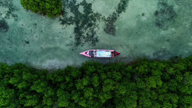 Aerial view of a pink boat carrying people floating in the clear shallow turquoise water of Pari island near dense green mangrove forests in South Kepulauan Seribu, Jakarta, Indonesia.