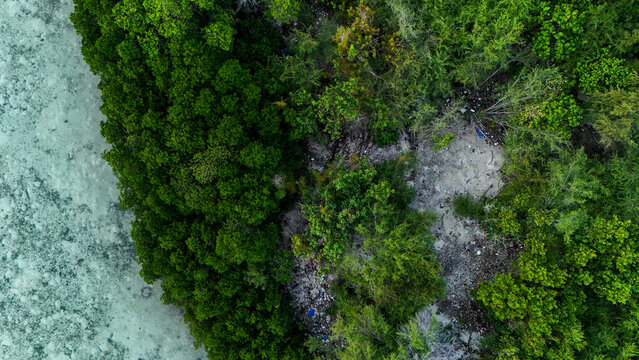 Aerial view of Pari island featuring dense green mangroves and lush vegetation bordering clear shallow turquoise water in South Kepulauan Seribu, Jakarta, Indonesia.