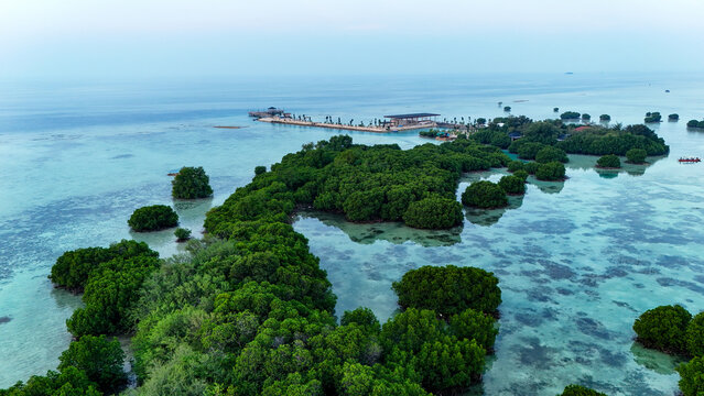 Aerial view of Pari island featuring lush mangrove forests surrounded by clear turquoise water and coral reefs with a wooden pier in South Kepulauan Seribu, Jakarta, Indonesia.