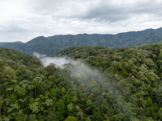 Misty clouds drift through emerald forest canopy. Layered hills rise behind dense, green jungle growth © Cloudyew