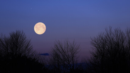 Full Moon, stars and planets above landscape silhouettes. © astrosystem