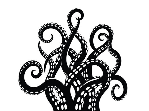 Black Silhouette of Waving Octopus Tentacles with Suckers