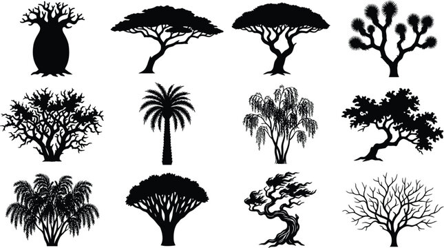 Collection of various tree silhouettes in black vector format against a white background acacia