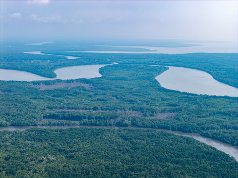 Aerial view of winding rivers through dense green forest. Sky is soft