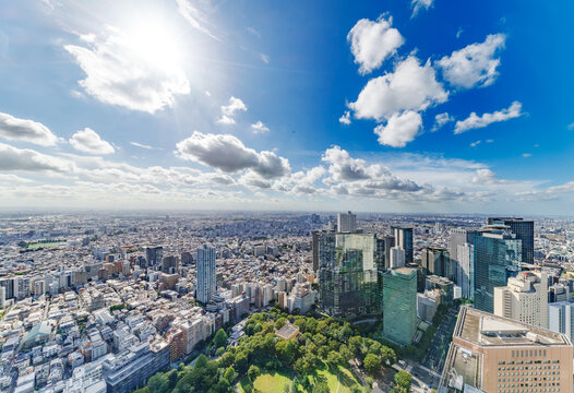 高層ビルの間から望む緑豊かな公園と東京の街並み