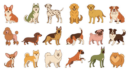 Fototapeta premium Different cute cartoon purebred dog breeds collection features happy corgi husky bulldog dalmatian retriever dachshund poodle beagle pug and chihuahua pet animal illustrations
