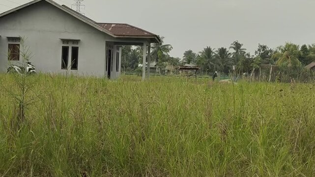 house in the field