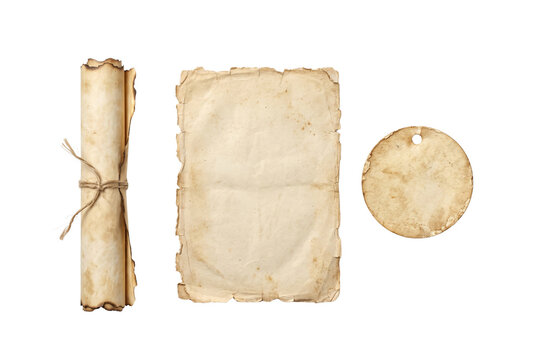 Set of vintage paper scroll blank parchment sheet and round tag isolated on transparent background