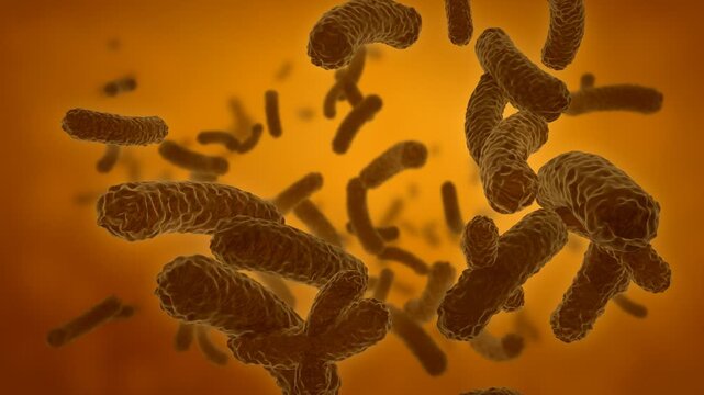 Dark bacteria float through a golden amber fluid with many small bacilli in the depth, microscopic view of germs for food safety and science topics