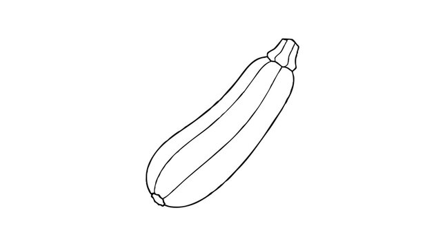 Long green zucchini squash with a faceted stem end and a blossom tip, drawn as a simple outline vector icon for vegetable recipes, grocery lists and healthy eating