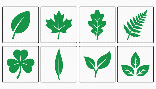 Eco Leaf Vector Icon Set for Nature and Environment