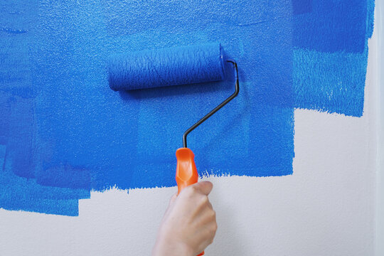 Roller Brush Painting, Worker painting on surface wall Painting apartment, renovating with blue color paint. Leave empty copy space white to write descriptive text beside.
