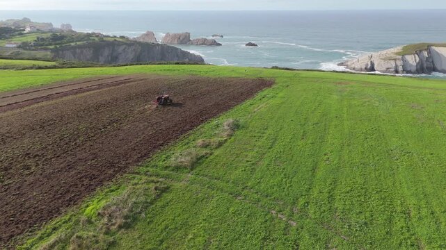 An aerial view of a red tractor raking harvested red algae seaweeds on a coastal field close to the ocean