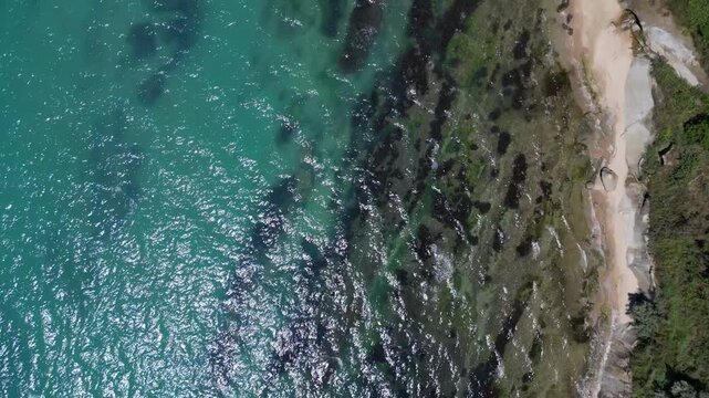 Aerial Top Down View of Forest Cliff and Wild Sandy Beach with Sea Waves