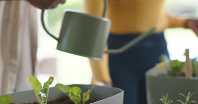 African couple nourishing seedlings after mist, man pouring watering can while woman guiding soil