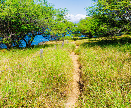 Small Path Leading Through The  Grass on The Eddie Pu Trail Along The Pacific Coast, Kihei, Maui, Hawaii, USA