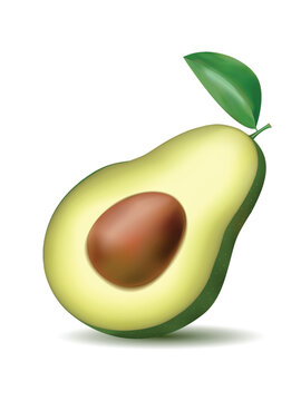 Realistic avocado half with pit and leaf on white background healthy food illustration