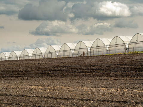 Row Of Greenhouses On Agricultural Field Under Dramatic Cloudy Sky For Commercial Horticulture