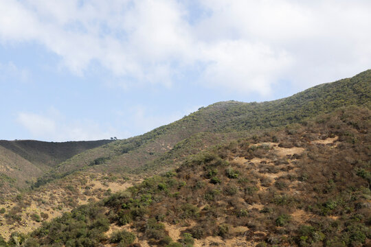 Hills in California on a sunny days