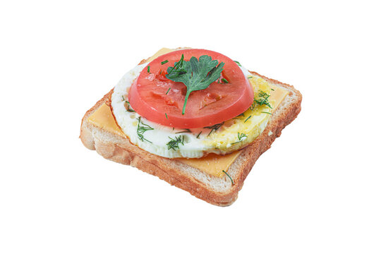 Open face breakfast toast sandwich with cheese, fried egg, fresh tomato slice and parsley isolated on white background. Morning snack, fast meal, food staging and culinary presentation concept.