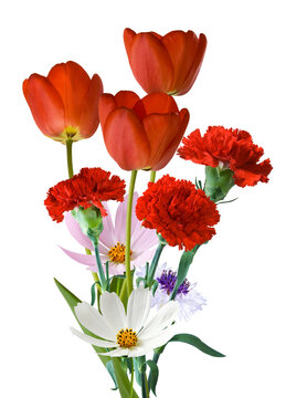 Bouquet of red tulips, red carnations, and white flowers arranged together isolated on transparent background, PNG file