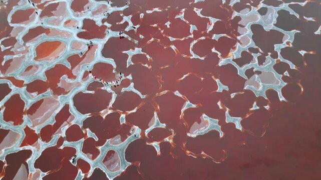 Aerial Top-Down View of Crimson Salt Water and White Crusts at Ulan Lake, Tengger Desert, Inner Mongolia
