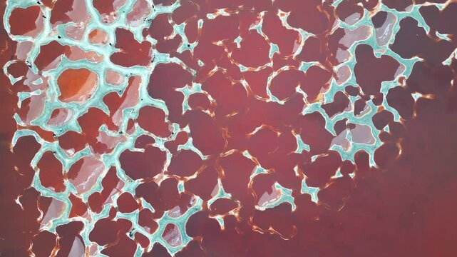 Aerial Top-Down View of Crimson Salt Water and White Crusts at Ulan Lake, Tengger Desert, Inner Mongolia