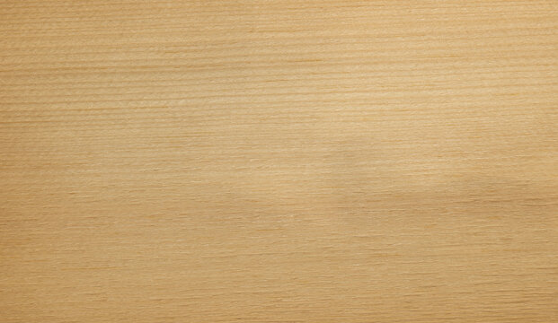 Fir wood natural texture background