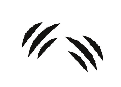 Black claw scratch marks isolated on white background. Animal paw slash tear texture with three ragged claws for design overlay. Scary horror, monster, beast or wildlife graphic element.