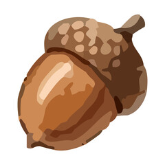 watercolor illustration of an acorn © Menhikki