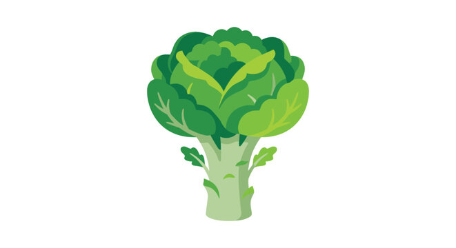 A vibrant broccoli head is depicted as a vector illustration against a white background