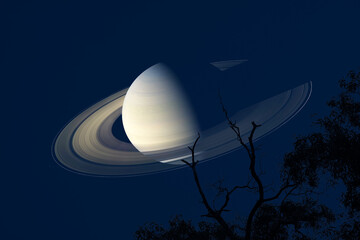 Saturn back top dry branch tree dark blue night sky © darkfoxelixir