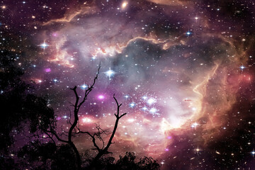 Star cluster NGC 602  back top dry branch tree dark blue night sky © darkfoxelixir