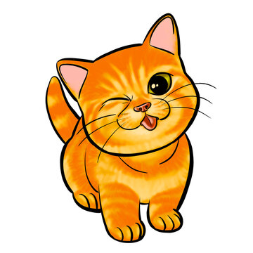 Oyen Cat
