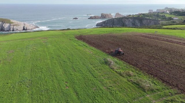 An aerial view of a red tractor raking harvested red algae seaweeds on a coastal field close to the ocean