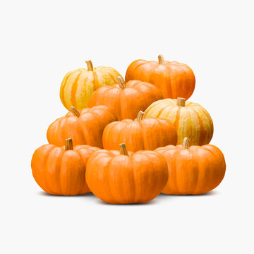 pumpkin on white background
