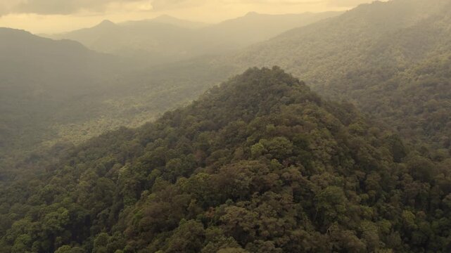 Misty Jungle Mountains Under Warm Golden Sunset Light Drone Shot